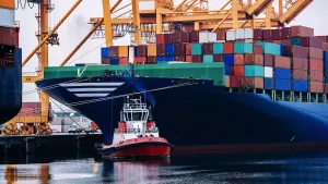 تواصل شركة Raw-Edges اهتمامها